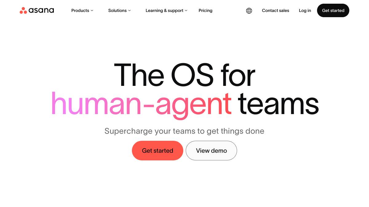 Asana Intelligence